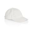 1111 DAVIE SIX PANEL CAP
