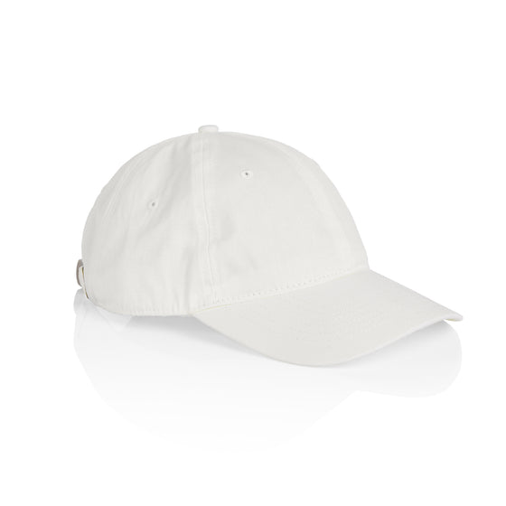 1111 DAVIE SIX PANEL CAP
