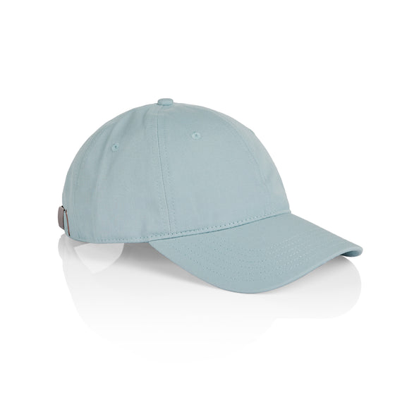 1111 DAVIE SIX PANEL CAP