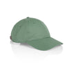 1111 DAVIE SIX PANEL CAP