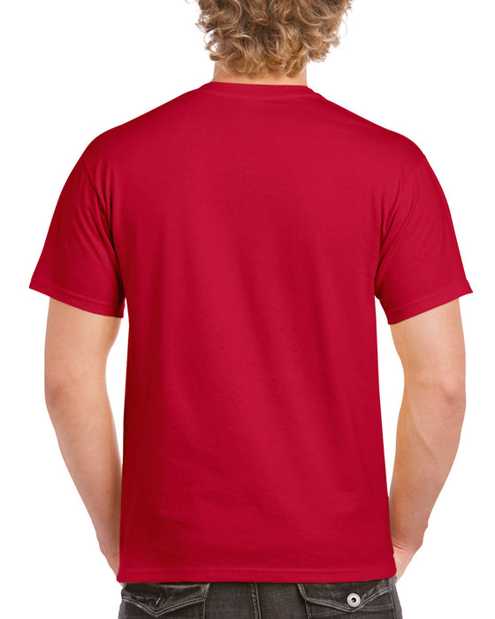 Ultra Cotton Adult T-Shirt