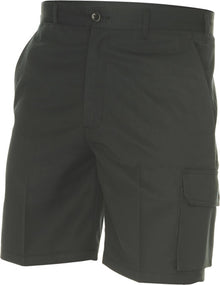  Permanent Press Cargo shorts