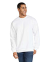 Softstyle  Adult Crewneck Sweatshirt